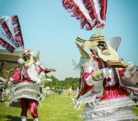 Around The World Cultural Food Festival