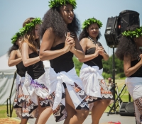 Around The World Cultural Food Festival