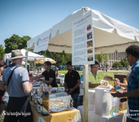 Around The World Cultural Food Festival