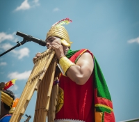 Around The World Cultural Food Festival